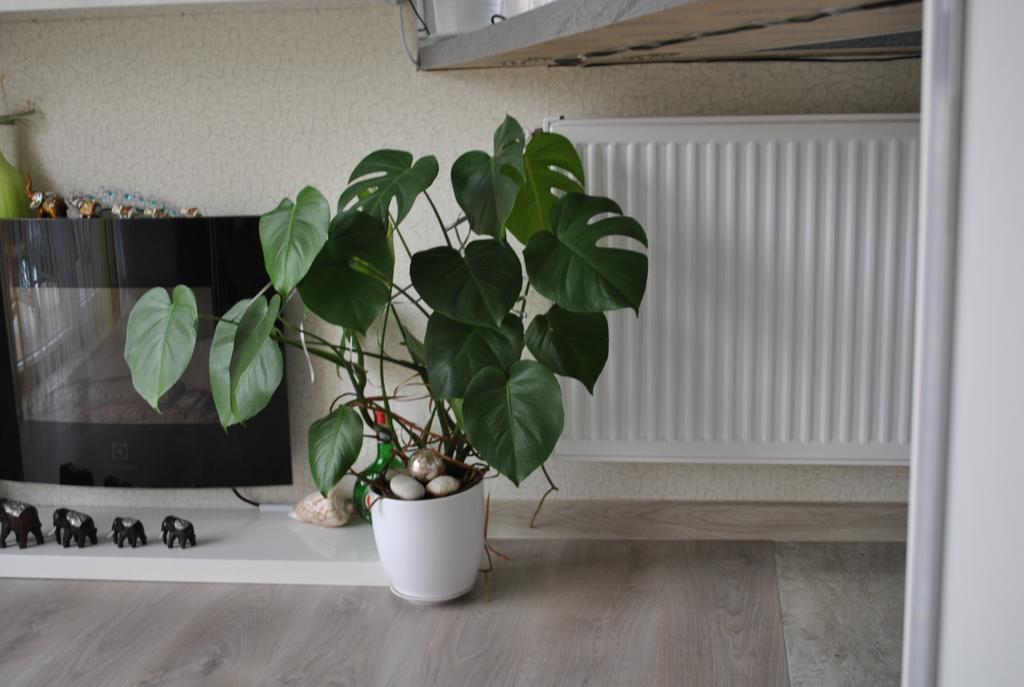 I Love Heviz Apartments Buitenkant foto